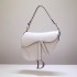 Dior saddle 25.5*20*6.5cm gold white leather