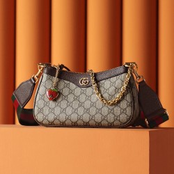 Gucci Ophidia 25*15.5*6cm