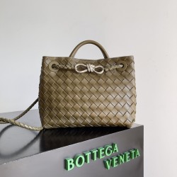 Bottega Veneta Andiamo 25*22*10.5cm