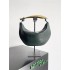 Bottega Veneta Sardine 36*24*3cm green