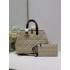 Dior TOUJOURS 37 x 20 x 28.5cm large