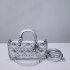 Dior Lady D-Joy calf skin silver 22.5*12*6cm medium