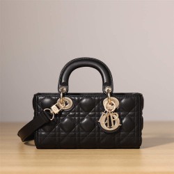 Dior Lady Dior D Joy 22cm 