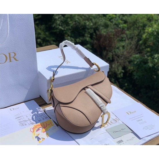 Dior saddle 25.5-20-6.5cm leather