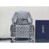 Dior back pack  43 x 51 x 20 cm CACTUS JACK DIOR