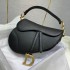 Dior saddle  25cm leather 