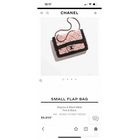 Chanel classic flap 20cm  charm