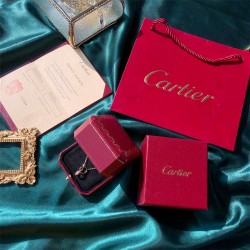 Cartier Woman Watch Necklace best replica 