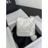 Chanel 22 mini 23*18.5*6cm