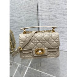 Dior new caro 2024 22*8*14cm