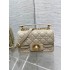 Dior new caro 2024 22*8*14cm