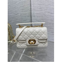 Dior new caro 2024 22*8*14cm