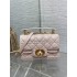 Dior new caro 2024 22*8*14cm