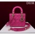 Dior lady Dior 20cm  2025 new