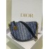  Dior Callisto 20cm 2025 new