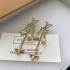 Louis Vuitton earstud 2025 new