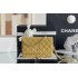 Chanel WOC size 19cm