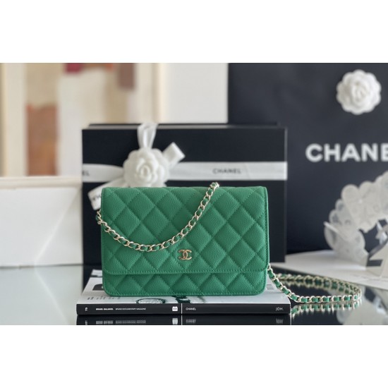 Chanel WOC size 19cm