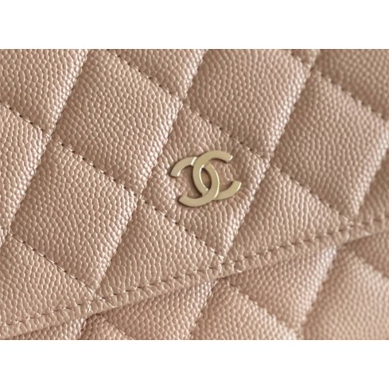 Chanel WOC size 19cm