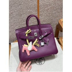 Hermes birkin 25*20*13cm 2025 new