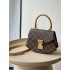 Louis Vuitton Tilsitt  M46548  size：24x18x7cm  2025 new