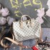 Louis Vuitton SPEEDY 30  N41373  size 30x21x17cm 2025 new