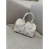 Louis Vuitton SPEEDY BANDOULIÈRE 20 M46397   size：20.5x13.5x12cm 2025 new