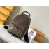 Louis Vuitton M44871 22.0x29.0x10CM plam spring backpack 2025 new