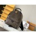 Louis Vuitton M44874 28.0x33.0x16CM  plam spring backpack 2025 new