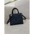 Louis Vuitton ONTHEGO BB M46993 size：18x15x8.5cm 2025 new