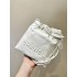 Chanel 22 bag mini 24x20cm 2025 new