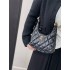 Chanel hobo bag 25/24/7cm 2025 new