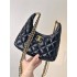 Chanel hobo bag 25/24/7cm 2025 new