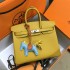 Hermes Birkin 25cm  2025 new