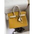 Hermes Birkin 25cm Epsom 2025 new