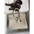 Hermes Birkin 25cm togo  2025 new