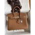 Hermes Birkin 25cm togo  2025 new