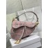 Dior Saddle bag size:25cm 2025 New