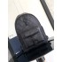 Dior backpack 30 x 42 x 14.5 cm 2025 New