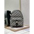 Dior backpack 23.5×11×32cm  2025 New