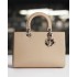 Dior Lady D-Sire  26X15X8cm 2025 New