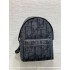 Dior backpack 30*15*42cm 2025 New