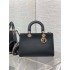 Dior Safari North-South 21 x 23.5 x 7.5 cm 2025 New