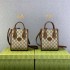 Gucci mini tote 16*20*7cm 2025 New