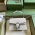 Gucci Dionysus 18cm 2025 New