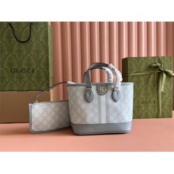 Gucci Ophidia mini 22cm 2025 New