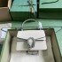 Gucci Dionysus 752029 18cm 2025 New