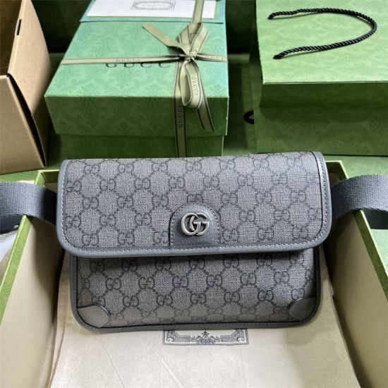 Gucci Ophidia 752597  24x17x3.6cm 2025 New