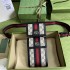 Gucci 699173  11.5*18*3.5cm 2025 New