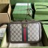 Gucci Ophidia 739392  24x16x7cm 2025 New